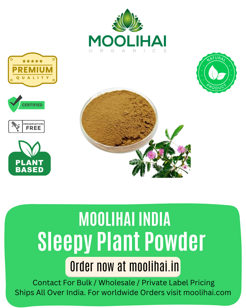 தொட்டா சிணுங்கி பொடி