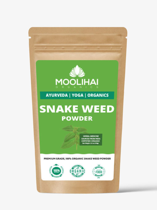 স্নেক উইড পাউডার / আম্মান পচরিসি পাউডার / আচ্ছেদিদা / দুগ্ধিকা - ১০০ গ্রাম - Image 2