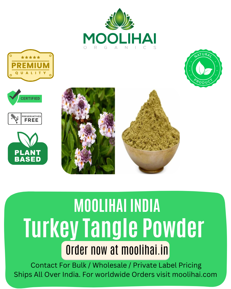 टर्की टैंगल पाउडर / फाइला नोदीफ्लोरा पाउडर / पोदुतलाई पोदी / फ्रॉग फ्रूट / जल बूटी - 200 ग्राम