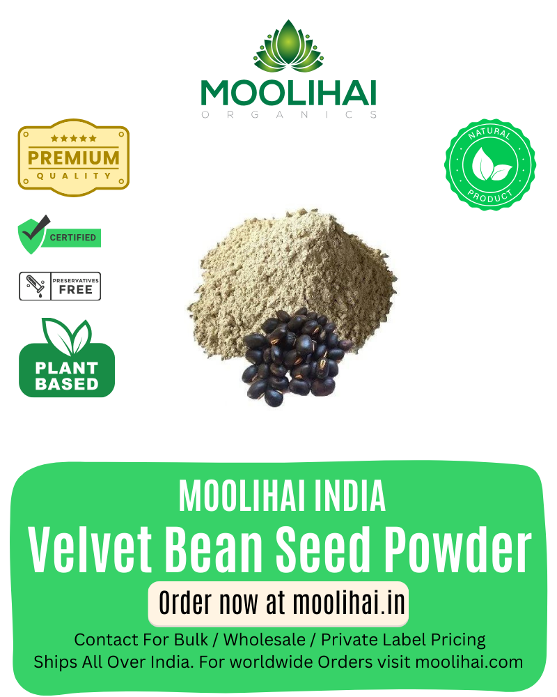 Velvet Bean Seed Powder / Poonaikali Vithai Powder / Kiwach / Pilliadugu / Nayisonanguballi / Naykkurana / Kapikachhu-100gm