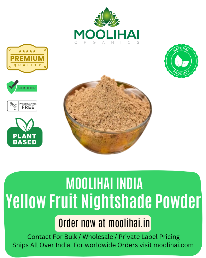 పసుపు పండ్ల నైట్ షేడ్ పౌడర్ (కందంకతిరి పొడి)