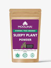Alternative view of Thotta Sinungi/ Sleepy Plant Powder / Sensitive Plant Powder / Mudatha Damara / Lajalu / Muttidare Muni / Thottavadi / Ajalikalika
