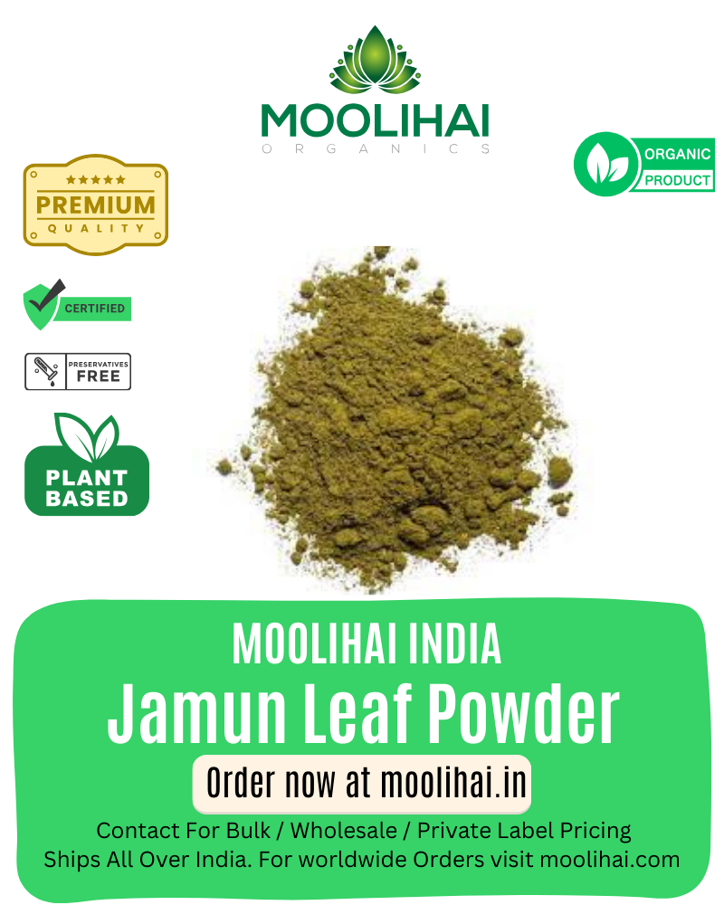 Jamun Leaf Powder/Jamblang Leaf Powder / Naval Ilai Podi