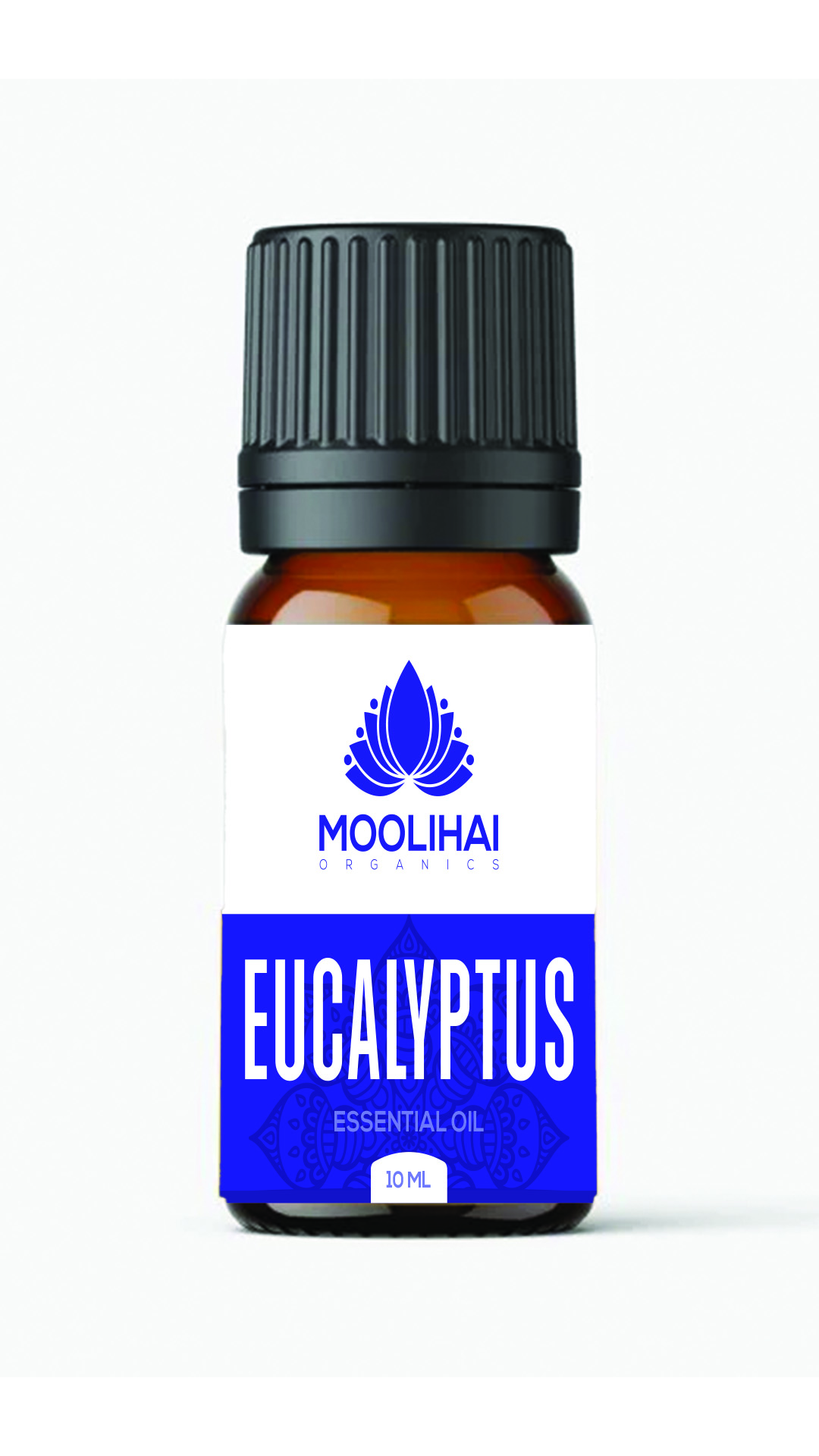 नीलगिरी (यूकलिप्टस) एसेंशियल ऑयल – शुद्ध, स्टीम डिस्टिल्ड और अरोमाथेरेपी ग्रेड – मूलीहाई इंडिया