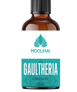 Gaultheria Essential  Oil