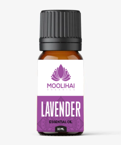 Lavender Essential Oil