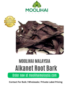 Alkanet Root Bark / Ratan Jot / Vembalam Pattai