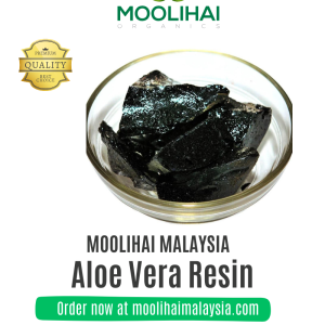 Getah Aloe Vera (Rakta Bol) – Resin Herba untuk Kulit & Kesihatan Dalaman