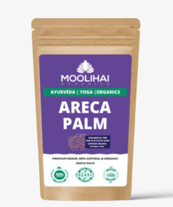 Alternative view of Areca Palm Seeds