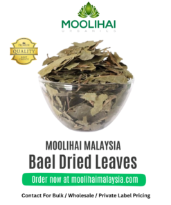 Bael Dried Leaves / Vilva Ilai / Bilva / Maredu / Bel Patra