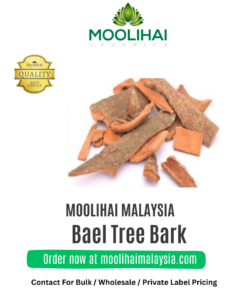 Kulit Pokok Bael / Vilva Pattai