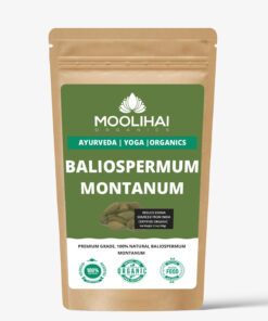 Alternative view of Baliospermum Montanum / Danti