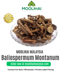 Baliospermum Montanum / Danti