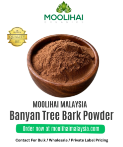 Aalam Pattai / Banyan Tree Bark Powder