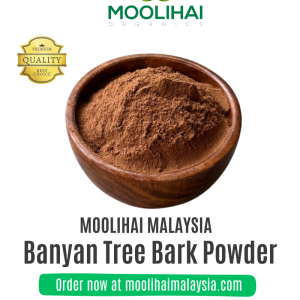 Aalam Pattai / Banyan Tree Bark Powder