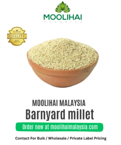 Barnyard millet