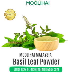 Basil Leaf Powder / Thulasi Ilai Podi