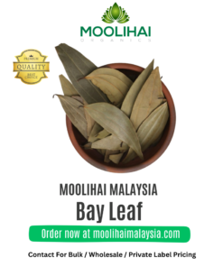 Bay Leaf / Briyani Leaf
