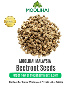 Beetroot Seeds