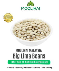 Big Lima Beans / Gundu Mochai