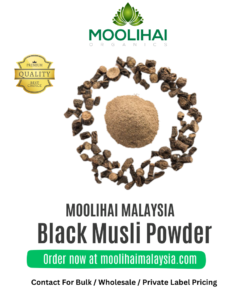 Serbuk Nilapanai Kilangu / Black Musli Powder