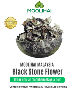 Kalpasi | Bunga Batu Hitam Aromatik & Herba Ayurveda