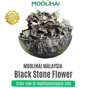 Black Stone Flower/ Dagad Pool / Kalpasi
