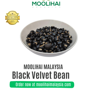 Black Velvet Bean / Kavach Bee