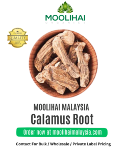 Dried Sweet Flag / Calamus Root / Vasambu