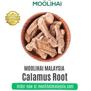 Akar Manis Kering (Vasambu) | Herba Tradisional Serbaguna