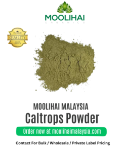 Caltrops herb Powder/ Nerunjil Podi