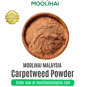 Parpadaga Pul – Serbuk Herba Tradisional untuk Demam, Tiroid & Ketidakseimbangan Hormon