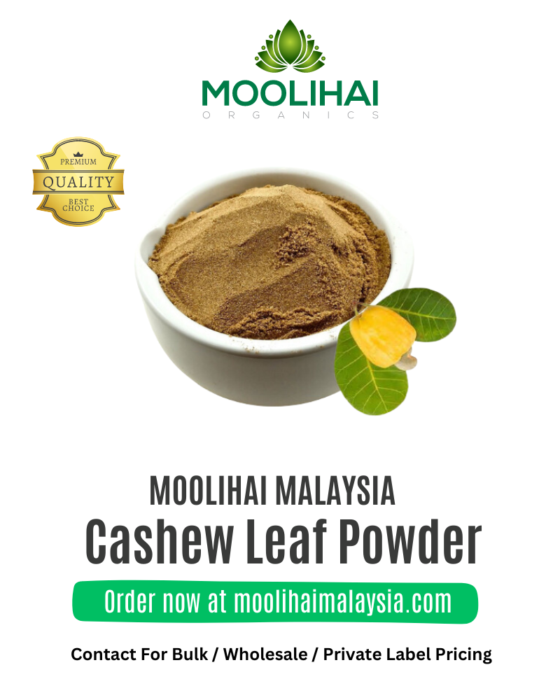 Cashew-Leaf-Powder-1.png