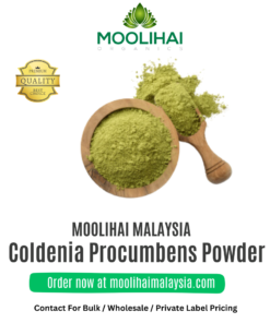 Coldenia Procumbens Powder / Siru Seruppadai Podi