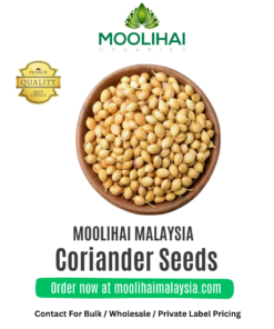 Coriander Seeds / Dhania