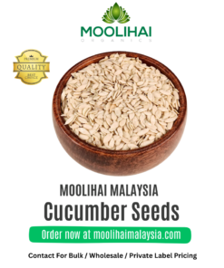 Cucumber Seeds