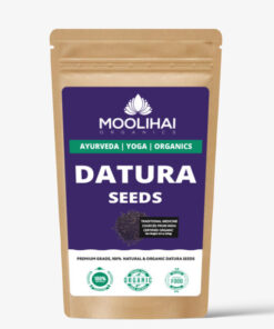 Alternative view of White Datura / Thorn Apple Seeds/ Oomatha Vidhai