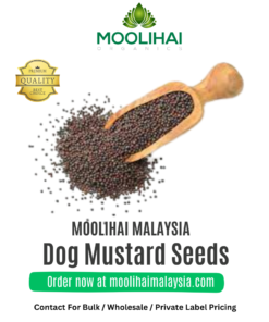 Dog Mustard / Traduzione Automatica