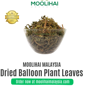 Dried Balloon Plant Leaves / Mudakaruthan Keerai