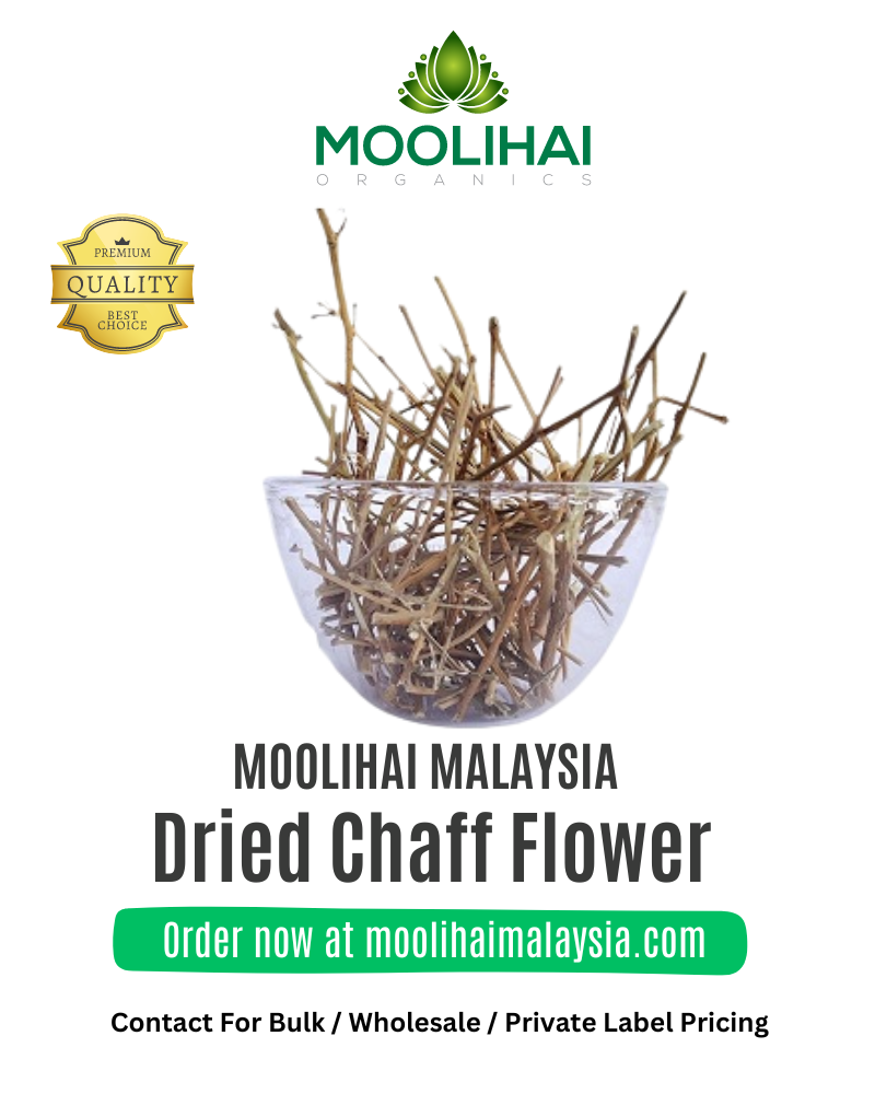 Dried-Chaff-Flower-1.png