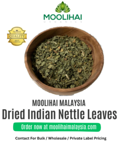 Dried Indian Nettle Leaves / Kuppaimeni ilai