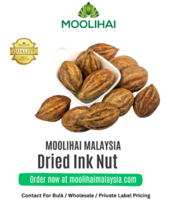 Buah Kadukkai Kering / Ink Nut – Herba Ayurveda untuk Kesihatan Menyeluruh