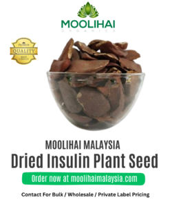 Dried Insulin Plant Seed / Thean Kaai