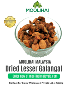 Chitharathai Kering / Lengkuas Kecil – 100g