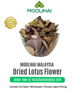 Bunga Teratai Kering – Herba Ayurveda untuk Ulser, Nutrisi & Kesihatan Reproduktif