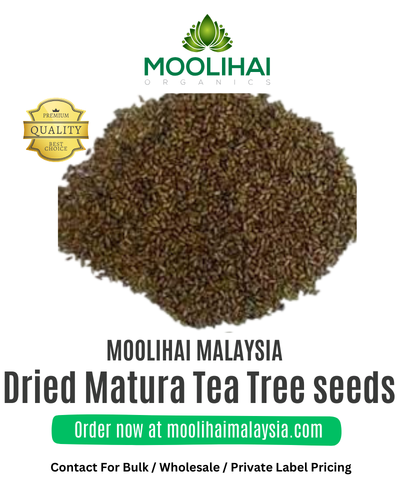 Dried-Matura-Tea-Tree-seeds-1-1.png