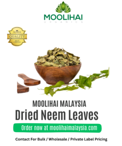 Daun Neem Kering / Veppa Ilai
