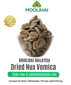 Dried Nux Vomica