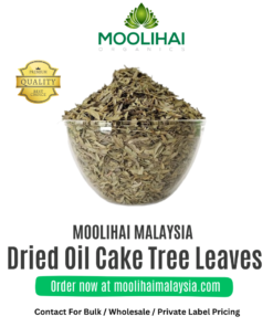 Dried Oil Cake Tree Leaves / Arapu Ilai