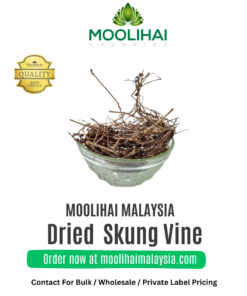 Dried Mudhiyor Koonthal / Skung Vine